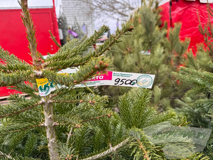 �� ������ ��: � �������� ����� ���������� ���������� ����