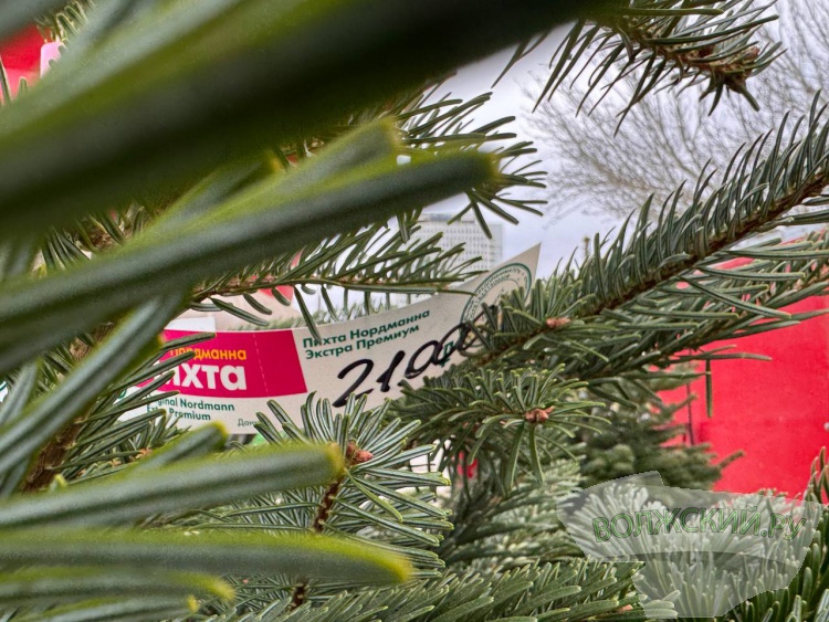 �� ������ ��: � �������� ����� ���������� ���������� ����