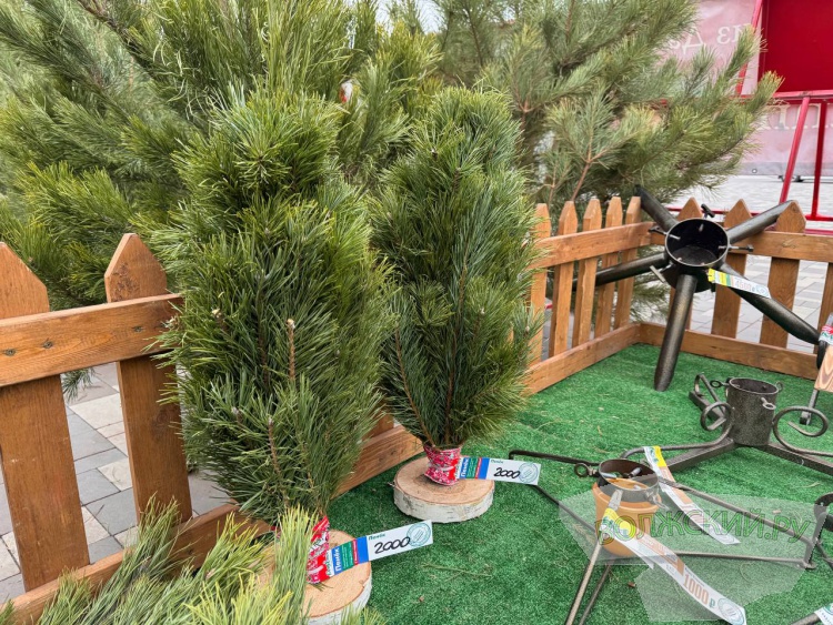 �� ������ ��: � �������� ����� ���������� ���������� ����