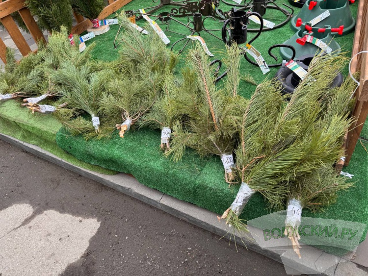 �� ������ ��: � �������� ����� ���������� ���������� ����