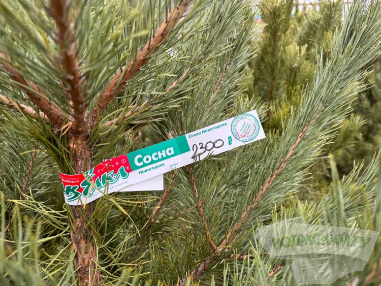 �� ������ ��: � �������� ����� ���������� ���������� ����